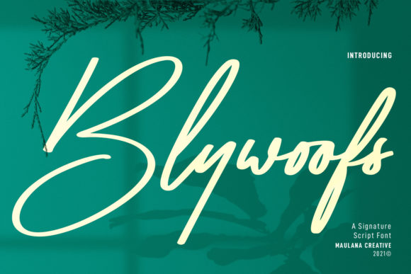 Blywoofs: A Stylish Script Font for Business Branding