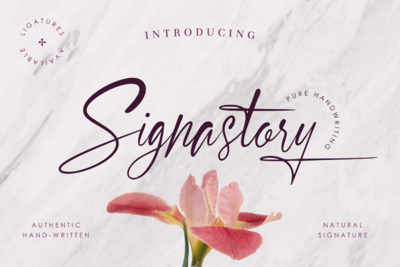 Signastory: A Font That Elevates Your Brand Story
